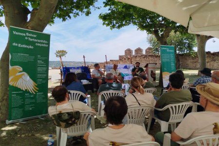 “Amigos do Tartaranhão-caçador”: lançada a Rede colaborativa para salvar esta espécie da extinção
